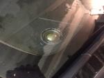 4cd23d8s-960.jpg