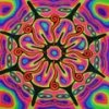 snab
